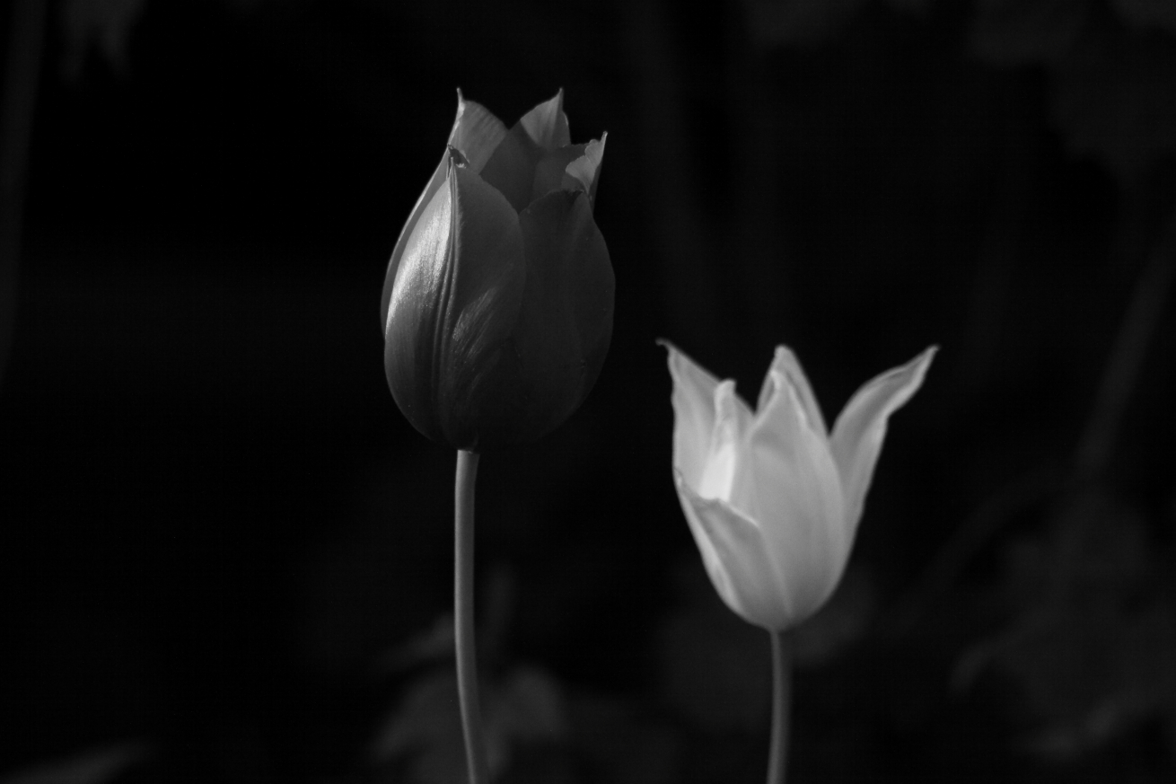 2015 05 12 HTP 000052794ebw